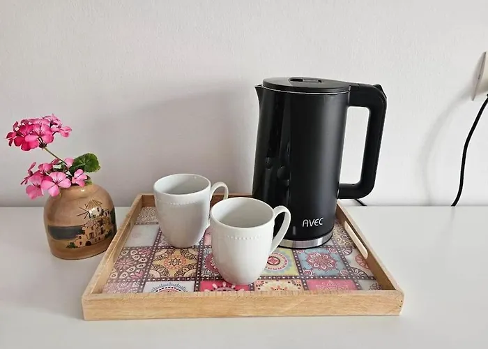 Apartament Cozy In Center *